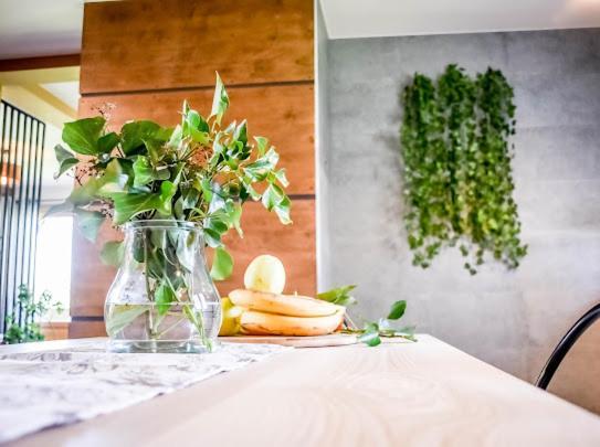 Atlas Chmur Apartament Biały Dunajec Dış mekan fotoğraf